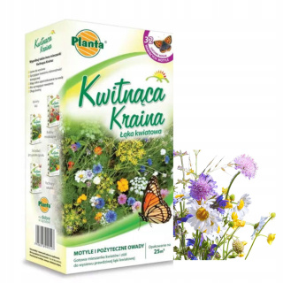 Kwitnąca kraina 2