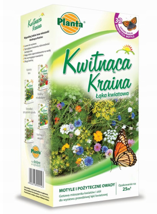 Kwitnąca kraina 2