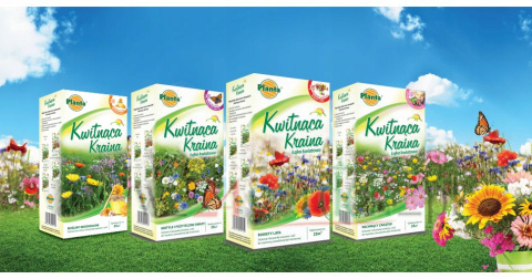 Kwitnąca kraina Kwitnąca kraina