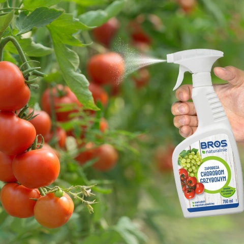 BROS NATURALNIE - ZAPOBIEGA CHOROBOM GRZYBOWYM 750ML BROS NATURALNIE - ZAPOBIEGA CHOROBOM GRZYBOWYM 750ML