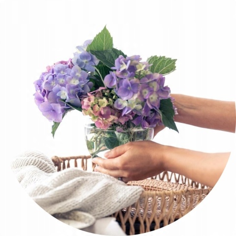 NAWÓZ FLOROVIT-BIONAWÓZ BORÓWKA 0,7kg I ROŚLIN KWAŚNOLUBNYCH (12)*
