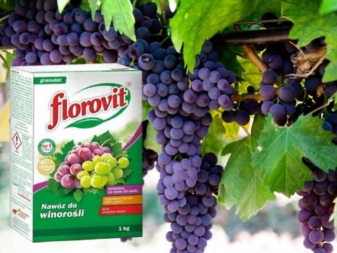 NAWÓZ FLOROVIT DO WINOROŚLI 1kg KARTON (12)