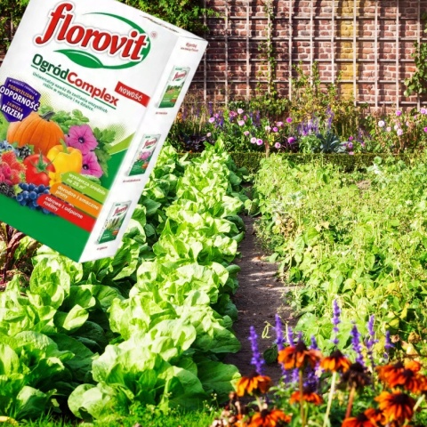 NAWÓZ FLOROVIT OGRÓD COMPLEX 1kg KARTON (12) NAWÓZ FLOROVIT OGRÓD COMPLEX 1kg KARTON (12)