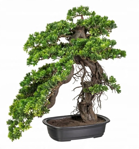 NAWÓZ FLOROVIT PŁ.DO BONSAI 0,25l (6) NAWÓZ FLOROVIT PŁ.DO BONSAI 0,25l (6)