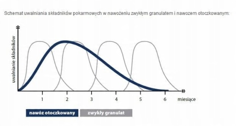 NAWÓZ FLOROVIT SUPER RODODENDRONY 300g AZALIE,HORTENSJE 6-MIESIĘCY (6)