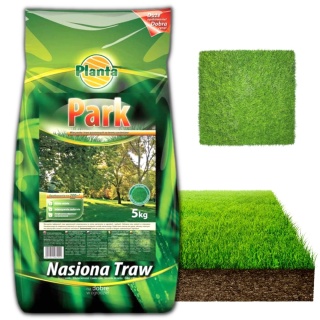 TRAWA PARK 5 kg trawa do miejsc zacienionych Planta