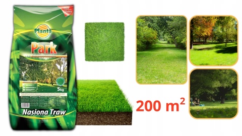 TRAWA PARK 5 kg trawa do miejsc zacienionych Planta TRAWA PARK 5 kg trawa do miejsc zacienionych Planta