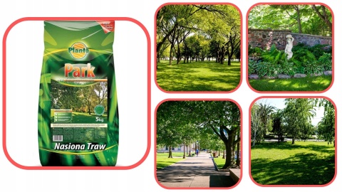 TRAWA PARK 5 kg trawa do miejsc zacienionych Planta TRAWA PARK 5 kg trawa do miejsc zacienionych Planta