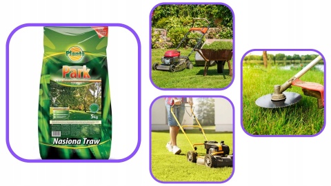 TRAWA PARK 5 kg trawa do miejsc zacienionych Planta TRAWA PARK 5 kg trawa do miejsc zacienionych Planta