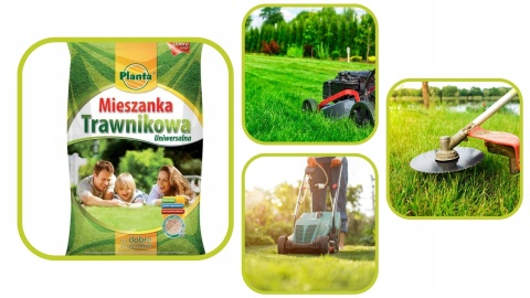 Trawa Mieszanka trawnikowa do terenów przydomowych Planta 2kg 80m2 Trawa Mieszanka trawnikowa do terenów przydomowych Planta 2kg 80m2