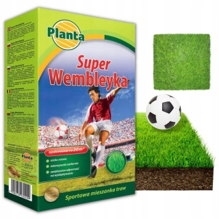 Trawa Wembleyka mieszanka traw Planta 20 m² 0,5 kg