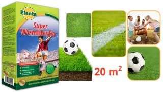 Trawa Wembleyka mieszanka traw Planta 20 m² 0,5 kg