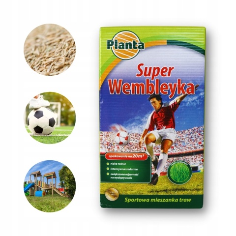 Trawa Wembleyka mieszanka traw Planta 20 m² 0,5 kg Trawa Wembleyka mieszanka traw Planta 20 m² 0,5 kg
