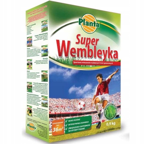 Trawa Wembleyka mieszanka traw Planta 20 m² 0,5 kg Trawa Wembleyka mieszanka traw Planta 20 m² 0,5 kg