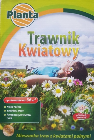 Trawa dekoracyjna Planta 36 m² 0,9 kg