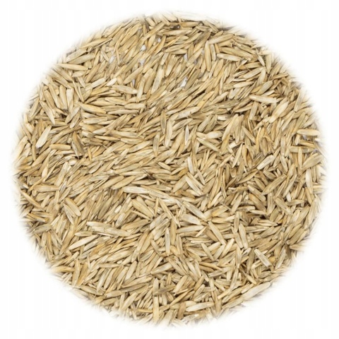 Trawnik Kwiatowy Trawa mieszanka traw Planta 108 m² 2,7 kg Trawnik Kwiatowy Trawa mieszanka traw Planta 108 m² 2,7 kg