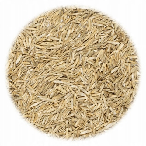 Trawnik Kwiatowy Trawa mieszanka traw Planta 108 m² 2,7 kg Trawnik Kwiatowy Trawa mieszanka traw Planta 108 m² 2,7 kg