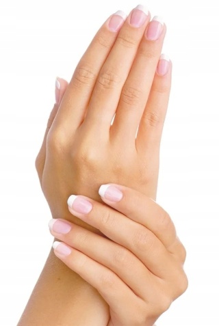 VILEDA rękawice Universal "S" op/12szt