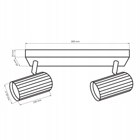 Lampa ścienno-sufit NICEA 2xGU10 biało-złota 1/20