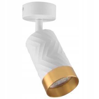Lampa ścienno-sufitowa ARRAS 1xGU10 biało-złota