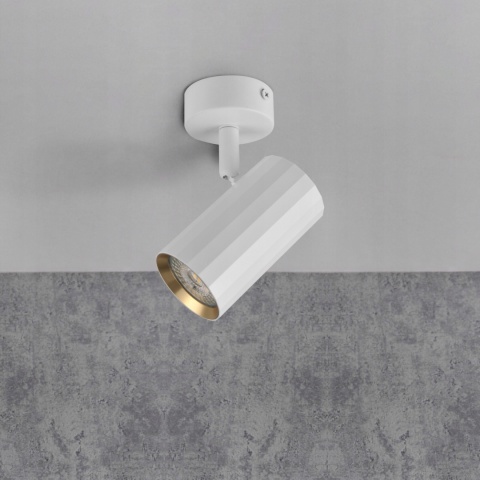 Lampa ścienno-sufitowa NICEA 1xGU10 biało-złota