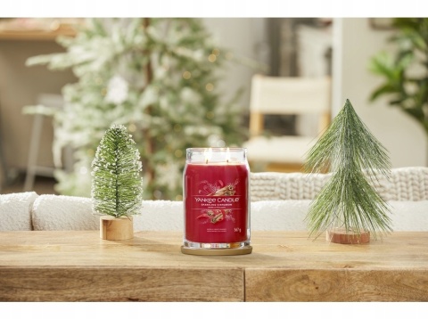 YC SIGNATURE - Świeca duża SPARKLING CINNAMON