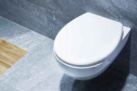 Deska Sedesowa Duroplast Biała