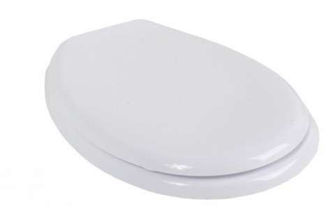 Deska Wc Iris Foto Kamyki