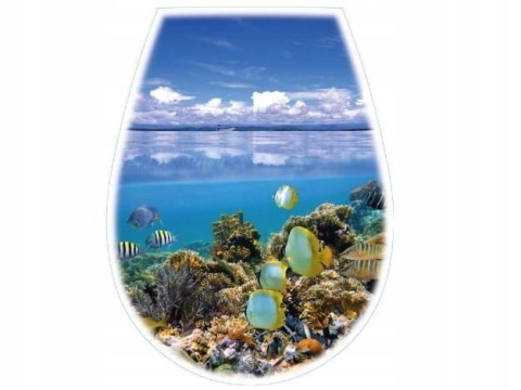 Deska Wc Lilia Foto Ocean