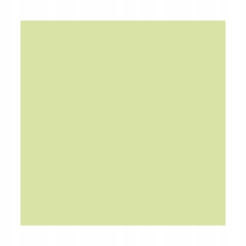 EC Perfekcyjna Pistacja0,03L tst.wał