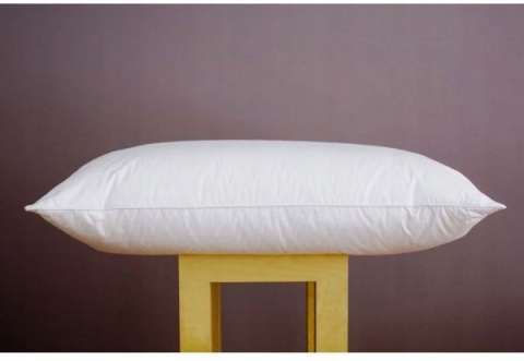 Poduszka Aloe Vera 70x80