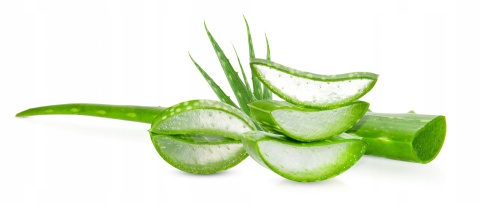 Poduszka Aloe Vera 70x80