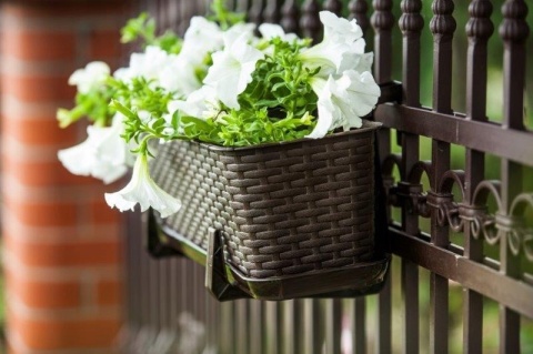 DON.BALK.RATTAN 40cm 7002 brąz