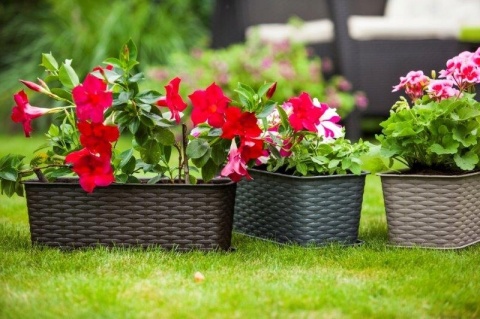 DON.BALK.RATTAN 40cm 7002 karmel