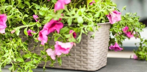 DON.BALK.RATTAN 40cm 7002 karmel