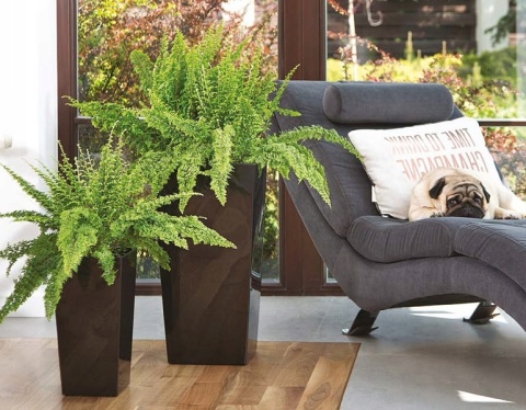 DONICZKA FINEZJA 14cm MOKKA (PKWiU: 22.29.29.0)