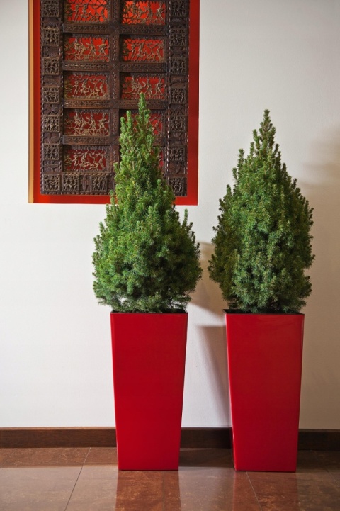 DONICZKA FINEZJA 14cm MOKKA (PKWiU: 22.29.29.0)