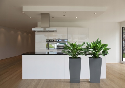 DONICZKA FINEZJA 14cm MOKKA (PKWiU: 22.29.29.0)