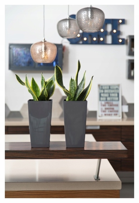 DONICZKA FINEZJA 19CM..