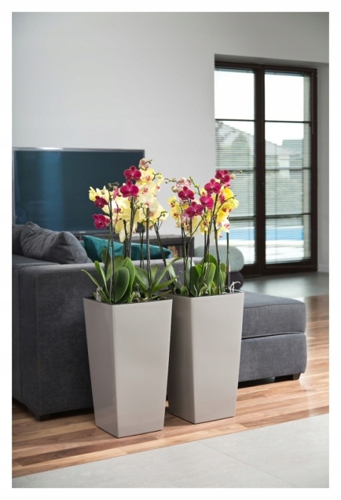 DONICZKA FINEZJA 19CM..