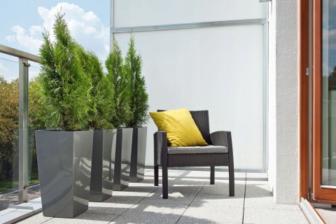 DONICZKA FINEZJA 19CM..