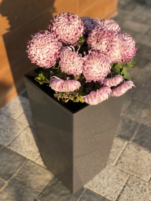 DONICZKA FINEZJA 19cm antracyt (PKWiU: 22.29.29.0)