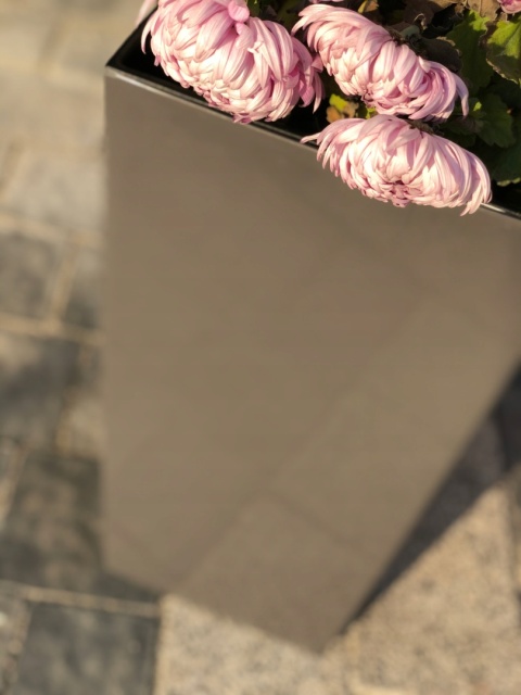 DONICZKA FINEZJA 19cm antracyt (PKWiU: 22.29.29.0)