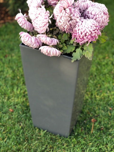 DONICZKA FINEZJA 19cm antracyt (PKWiU: 22.29.29.0)