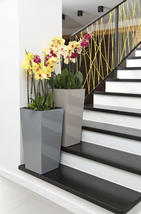 DONICZKA FINEZJA 19cm antracyt (PKWiU: 22.29.29.0)