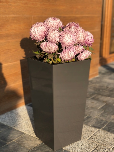 DONICZKA FINEZJA 19cm antracyt (PKWiU: 22.29.29.0)