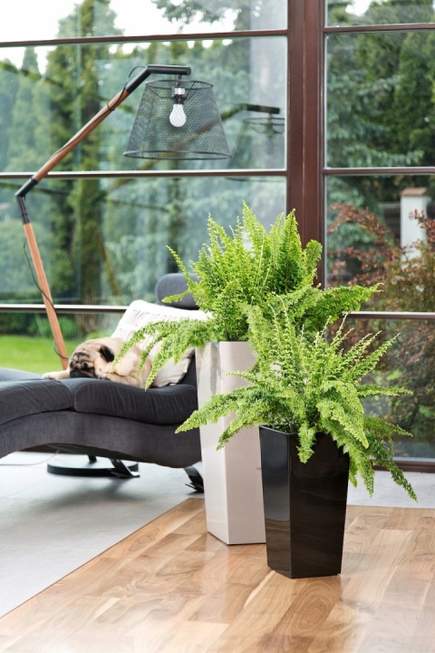 DONICZKA FINEZJA 19cm antracyt (PKWiU: 22.29.29.0)