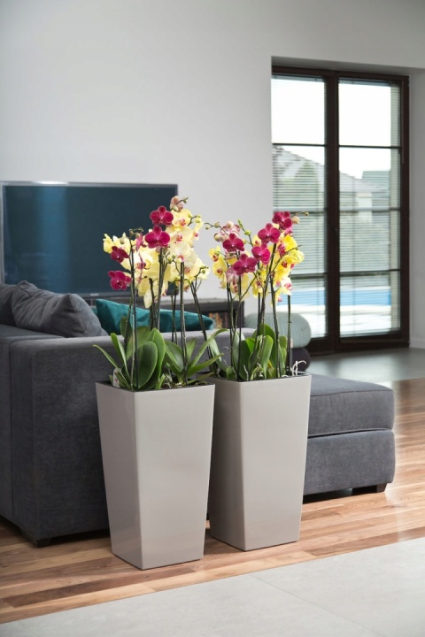 DONICZKA FINEZJA 19cm antracyt (PKWiU: 22.29.29.0)