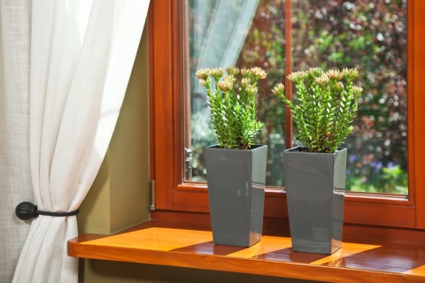 DONICZKA FINEZJA 25cm CZARNY