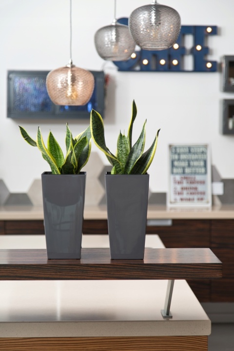 DONICZKA FINEZJA 25cm CZARNY